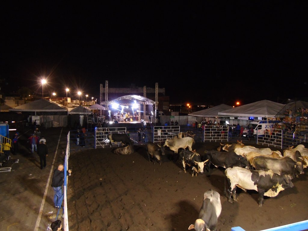 Feira Itinerante dos Produtores e Artesãos Rurais (5)